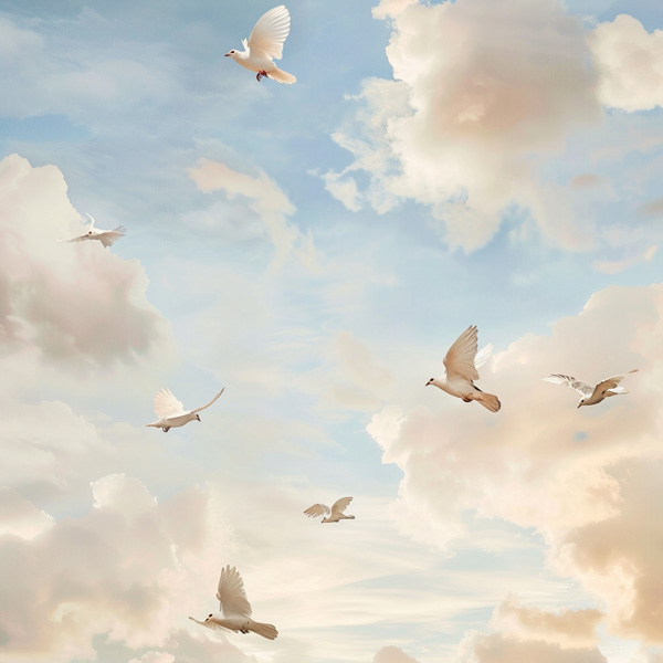 Plano, Texas Cremation Average Price Price Of Cremation